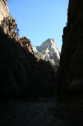 05 - Zion NP (9)